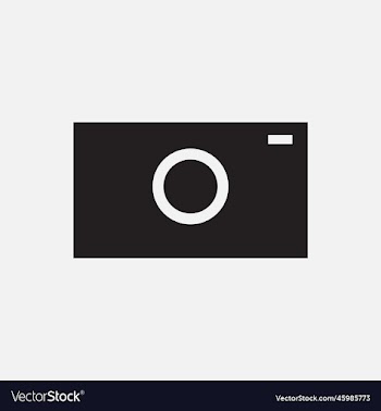 camera flat icon