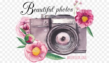 Camera Flower Drawing - Vector camera 