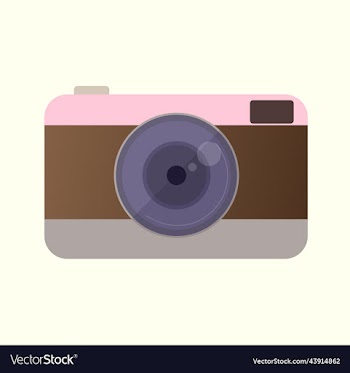 camera gray brown and pink shades