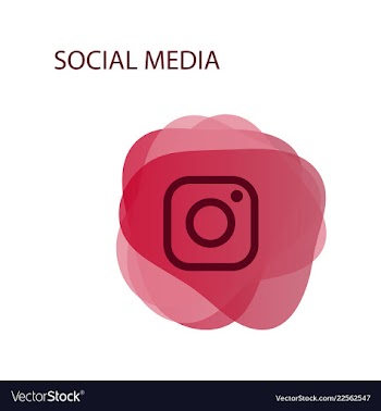 Camera icon social media instagram icon vector image