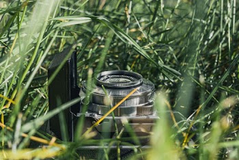 Camera On Grass