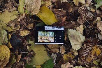 Camera on the Ground