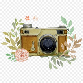 Camera Photographic film Photography - Photo Camera 