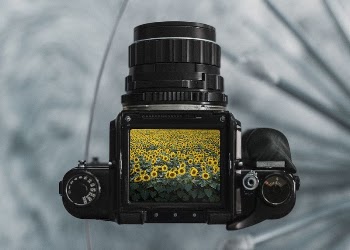 Camera screen mockup, editable viewfinder | Free PSD Mockup - rawpixel