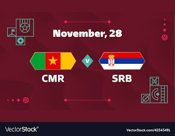 cameroon vs serbia football 2022 group g world