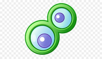 Camfrog Instant messaging Videotelephony Android - apps 