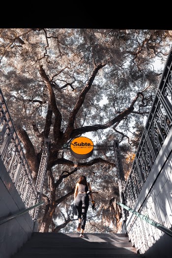 Caminando 