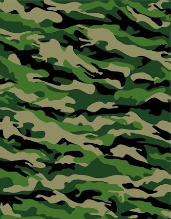 Camouflage Background