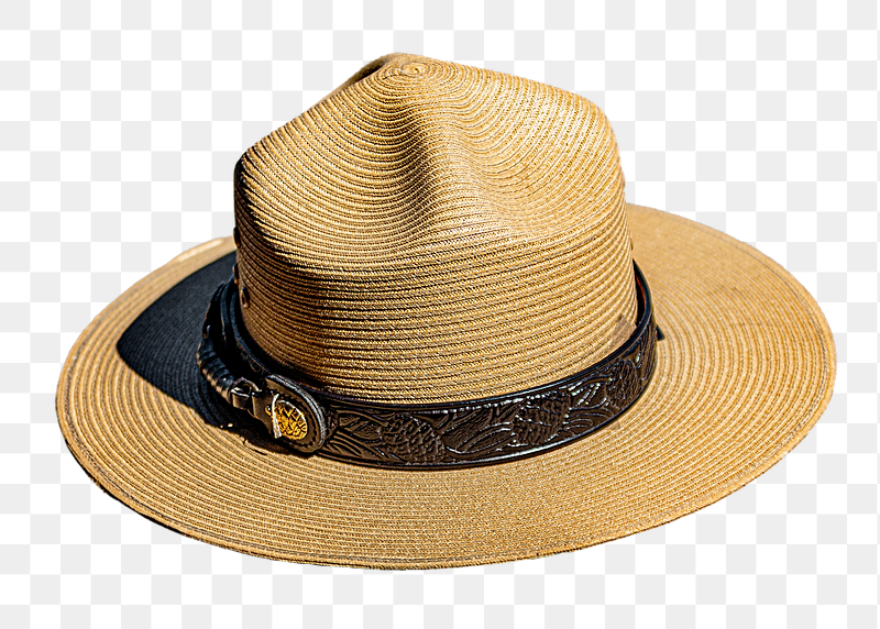 Campaign hat png sticker, transparent | Free PNG - rawpixel