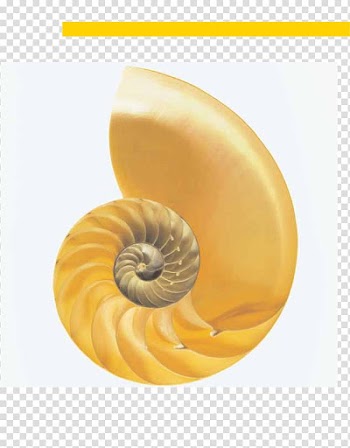 Campbell Biology: Concepts and Connections Publishing Getty s, Autumnal transparent background PNG clipart