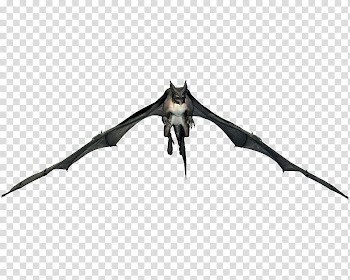 Campestergum IV, black bat animated transparent background PNG clipart