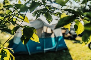 Campground Spiders Web