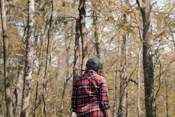 Camping Looking Out Into The Woods