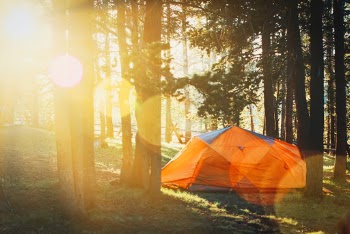 Camping with my boys in the Big Horn Mountains. 