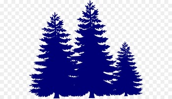Campsite Clip art Wednesday Activities Camping Recreation - campsite 