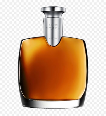 Camus Extra Elegance Cognac Brandy Liquor Grande Champagne - cognac 