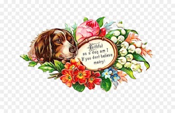 Can Stock Photo, Art Forms In Nature The Prints Of Ernst Haeckel, Copyright, Dog, Canidae PNG