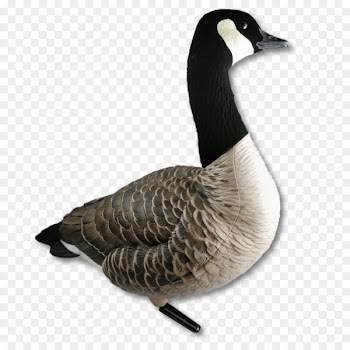 Canada goose Duck Hunting & Wildlife Calls - beverage holders tractors 