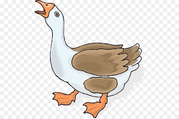 Canada Goose Free content Clip art - Png Clipart Goose Collection 
