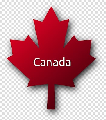 Canada Japanese maple Red maple Maple leaf , Wicked Jester transparent background PNG clipart