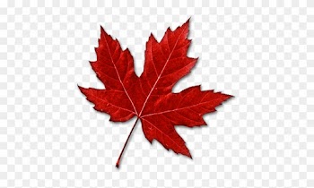 Canada Maple Leaf Clip Art - Canadian Maple Leaf Clipart