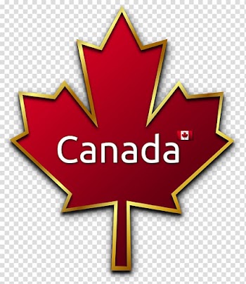 Canada Maple leaf , maple leaf transparent background PNG clipart