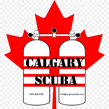 Canada men's national volleyball team 2017 Canada Summer Games Sport Coach - volleyball 
