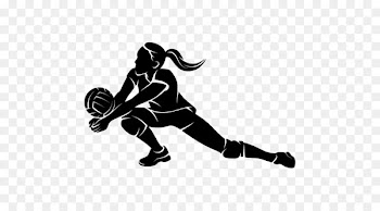 Canada men's national volleyball team Sport - volleyball 