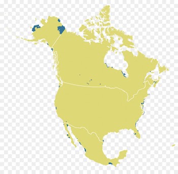 Canada Royalty-free Vector graphics Stock photography Map - canada 