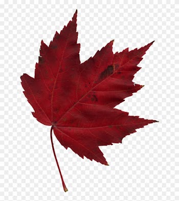 Canada Training Group - Maple Leaf