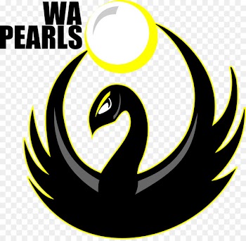 Canberra Heat Volleyball Club (Men) Melbourne Sports and Aquatic Centre Pearl - volleyball 