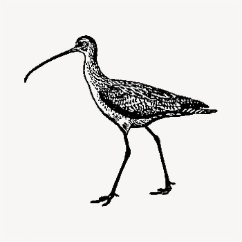 Candlestick bird illustration clipart vector. | Free Vector - rawpixel