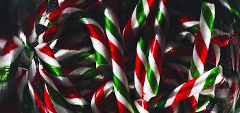 Candy Cane Close Up