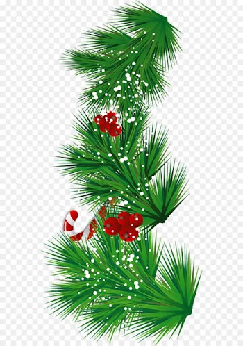 Candy cane Mistletoe Christmas Can Stock Photo Clip art - Transparent Pine Branch with Candy Cane and Mistletoe PNG Clipart 