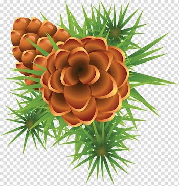 Candy cane Mistletoe Christmas tree Holly, Pine cone material transparent background PNG clipart