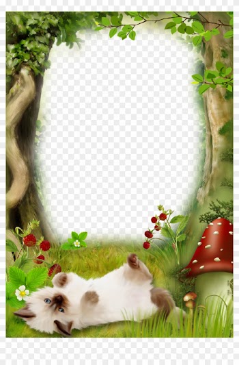 Candy Corn Borders Download - Forest Photo Frame Png
