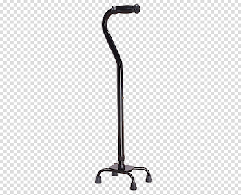Cane Walking Stick Download PNG Image