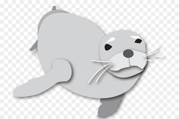 Canidae Bear Earless seal Beaver Vertebrate - bear 