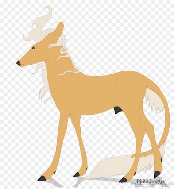 Canidae Deer Dog Antelope Mammal - deer 