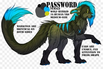 Canidae Dog Furry fandom Cat Art - dog 