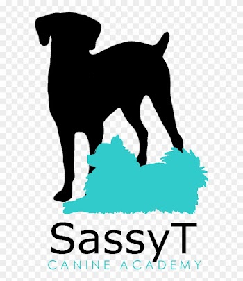 Canine Graduates Sassy T Canine Academy - Kassandra: Botin Der Liebe [book]
