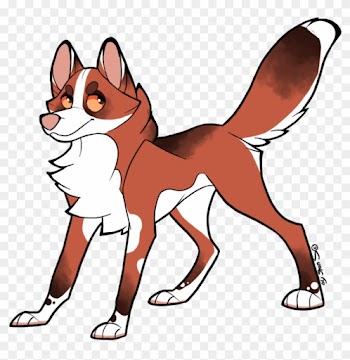 Canine Or Wolf Adopt - Dog Catches Something