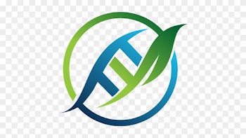 Cannabidiol Medical Cannabis Disease Anti-inflammatory - Cannabidiol Medical Cannabis Disease Anti-inflammatory