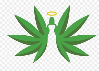 Cannabis Cannabidiol Hemp Hash Oil Tetrahydrocannabinol - Cannabis Cannabidiol Hemp Hash Oil Tetrahydrocannabinol