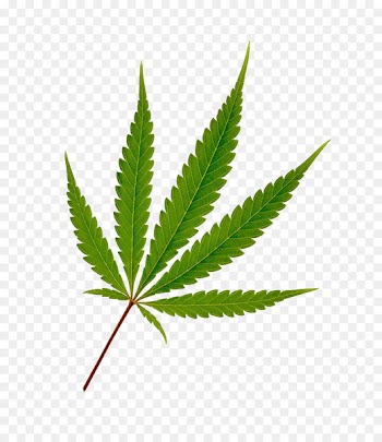 Cannabis Hemp Leaf Joint - Cannabis photography 