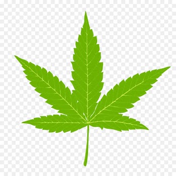 Cannabis Hemp Marijuana Clip art - Indian cannabis leaves illustrations 