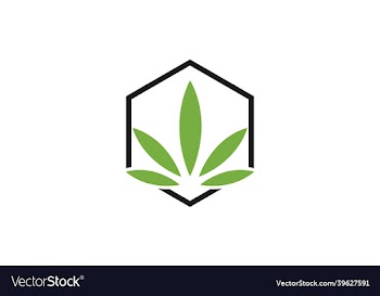 cannabis icon and drug logo design