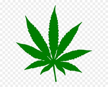 Cannabis Leaf