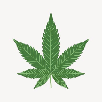 Cannabis leaf clipart, marijuana illustration | Free Vector - rawpixel