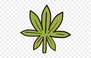 Cannabis Leaf Colored Doodle Transparent Png - Marihuana Png